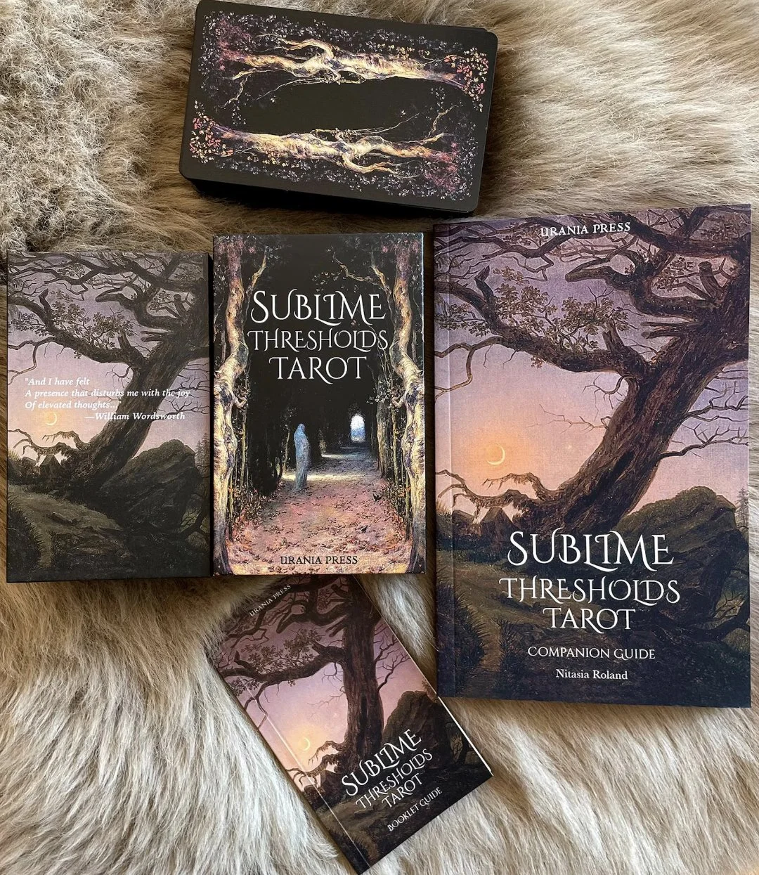 Sublime Thresholds Tarot PLUS softcover Companion Guidebook